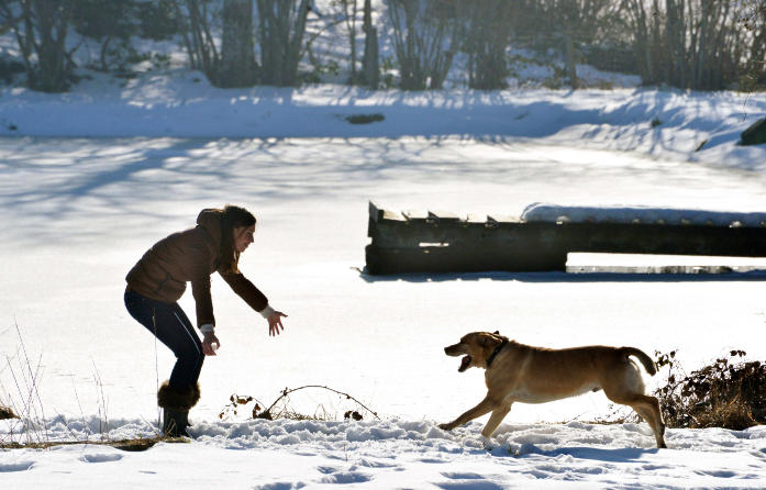 The lake in winter